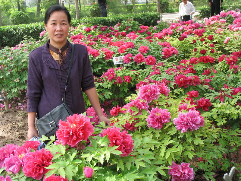 ����Ƽ  �����������߼���ѧ����ģ��.jpg