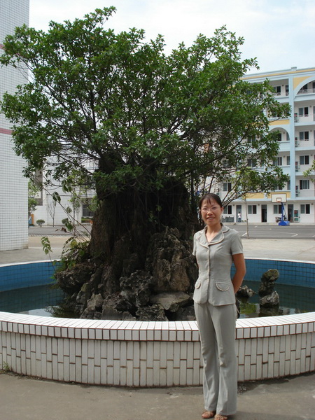 ����  �����н��������Ƚ�����  �����������߼���ѧ���������Ƚ�����.JPG